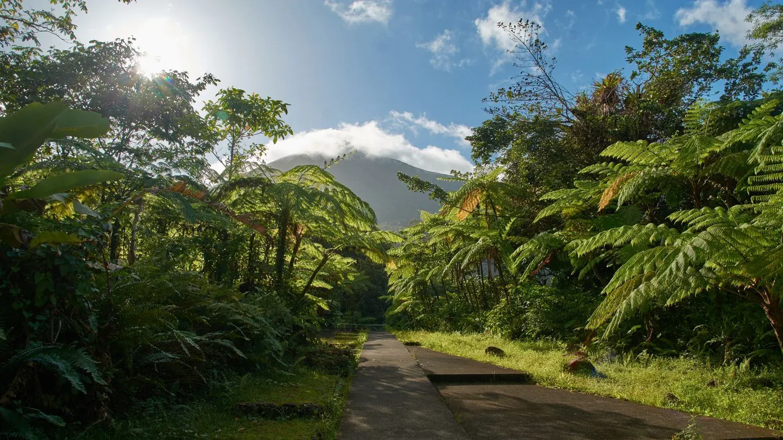 Baie-Mahault, Guadeloupe