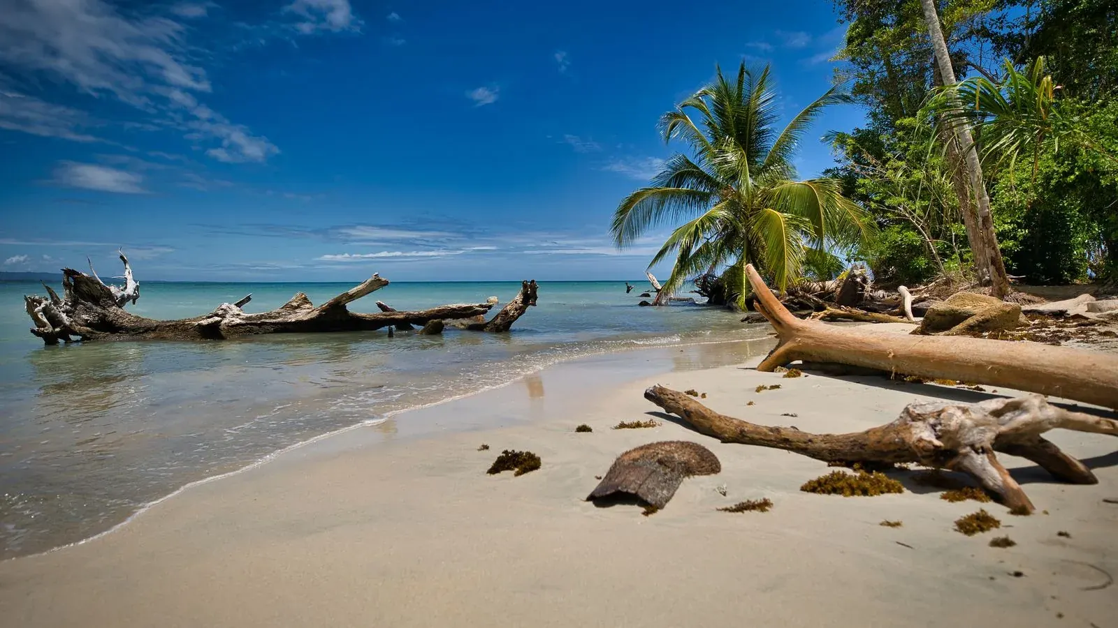 Puerto Limón, Costa Rica