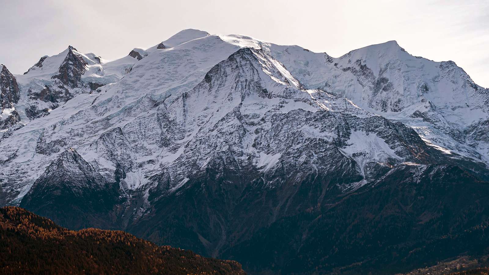 Le massif du Mont Blanc vu de la vallée, au-dessus d’une forêt de mélèzes