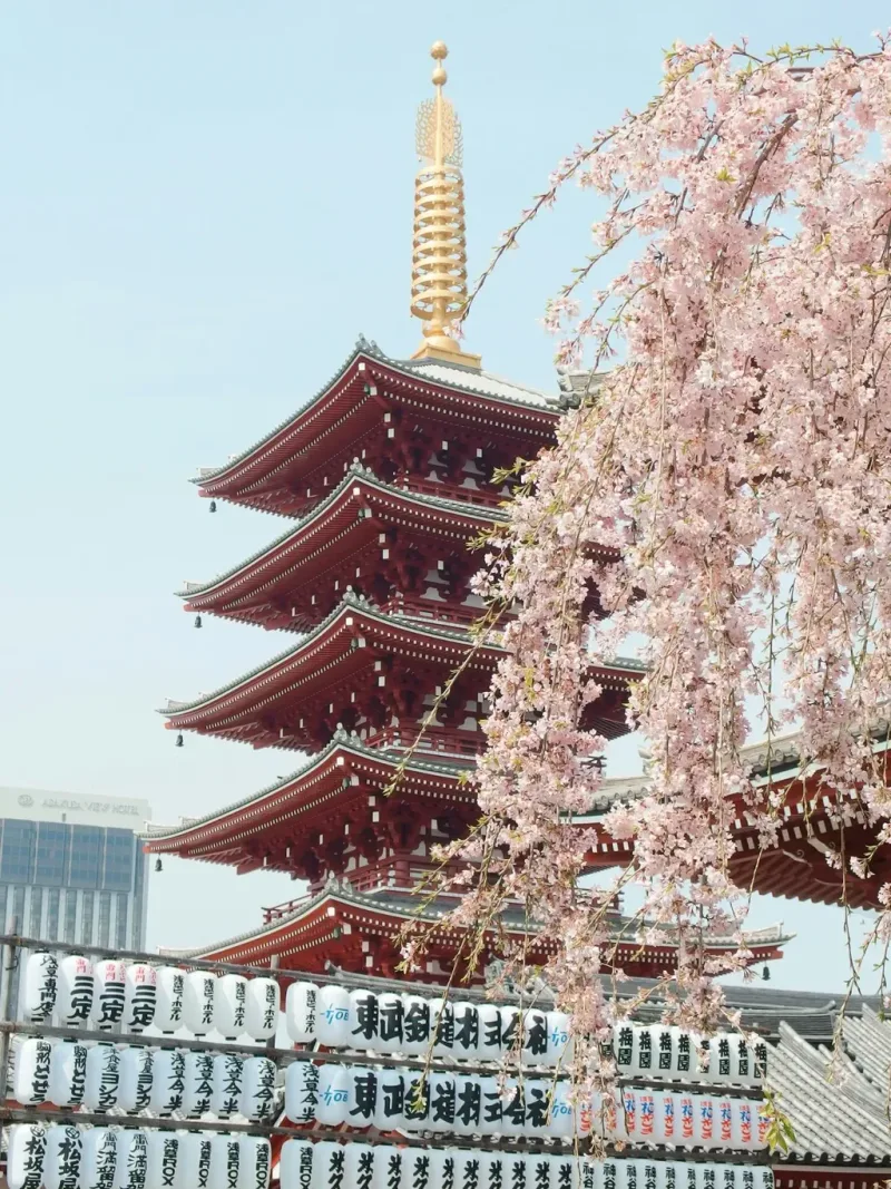 Japon